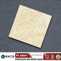 Gạch lát nền 60x60cm PT60001