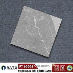 Gạch lát nền 60x60cm PT60005