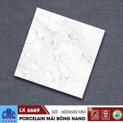 Gạch lát nền 60x60cm LX6669