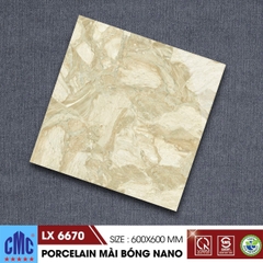 Gạch lát nền 60x60cm LX6670