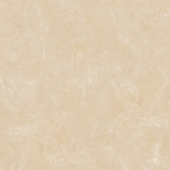 Gạch Viglacera 60x60 B 6005