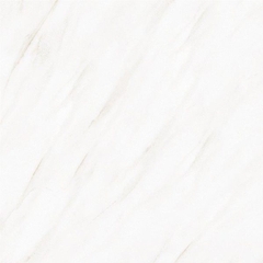 Gạch TTC 600x600 Porcelain PN66003