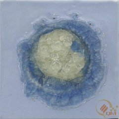 Gạch Hoa Văn 70A