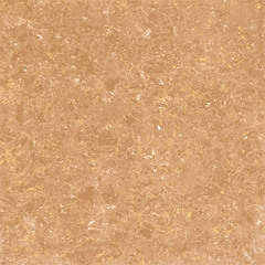 Gạch Viglacera 60x60 TS1 610