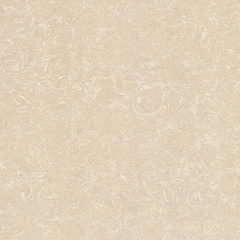 Gạch Viglacera 60x60 TS2 612