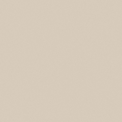 Gạch Granite 2 da 60x60 Viglacera TS5-601