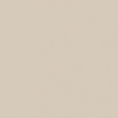 Gạch Viglacera 60x60 TS5 601