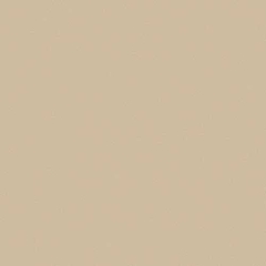 Gạch Viglacera 60x60 TS5 602