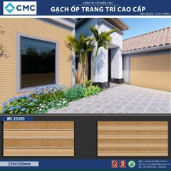 Gạch trang trí KT 25x50cm MC25503