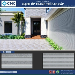 Gạch trang trí KT 25x50cm MC25504