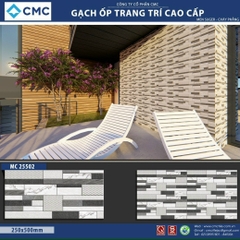 Gạch trang trí KT 25x50cm MC25502