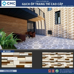 Gạch trang trí KT 25x50cm MC25501