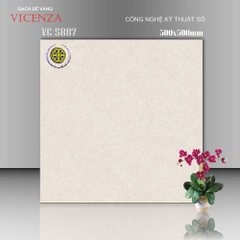 Gạch lát nền 50x50cm VC 5887 Vicenza