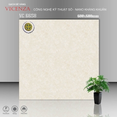 Gạch lát nền Vicenza 6658