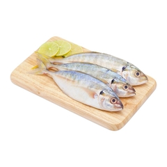 CÁ NGÂN TƯƠI 4-6CON/KG