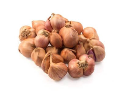 HÀNH CỦ HẢI DƯƠNG