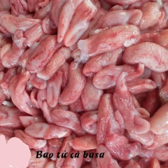 BAO TỬ BASA TƯƠI