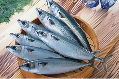 CÁ NỤC GAI TƯƠI 7-12 CON /KG