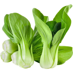 CẢI CHÍP