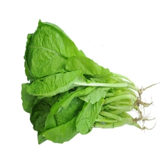 CẢI MƠ (CẢI XANH)