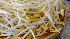 GIÁ ĐỖ