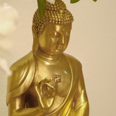 Ánh Sáng Đức Phật A Di Đà