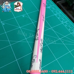 DỊCH VỤ DÁN PPF CÁN CƠ BIDA