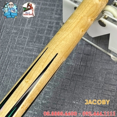 CƠ BIDA LỖ JACOBY