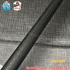 CƠ BIDA LỖ JACOBY