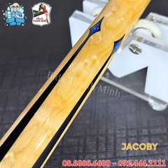CƠ BIDA LỖ JACOBY