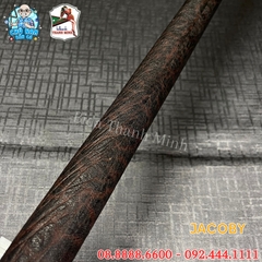 CƠ BIDA LỖ JACOBY