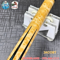 CƠ BIDA LỖ JACOBY