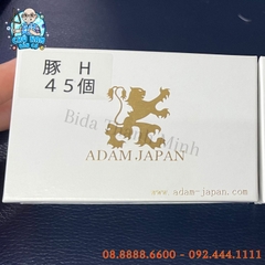 ĐẦU CƠ ADAM MUSHASHI . H
