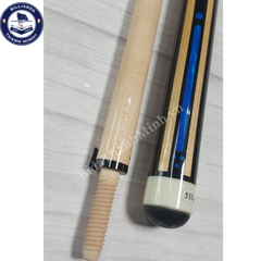 CƠ BIDA ( LONGOIN.  12m)