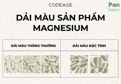 Codeage Liposomal Magnesium Glycinate 240V