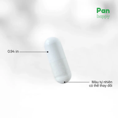 Codeage Liposomal Magnesium Glycinate 240V