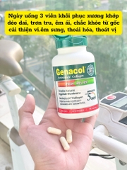 Genacol hỗ trợ xương khớp 90V