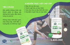 PVL Protein Đạm Thực vật Lên men Săn cơ Giảm mỡ [Mẫu mới độc quyền]