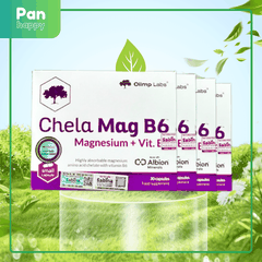 [Combo 4] Chela magie B6 30V