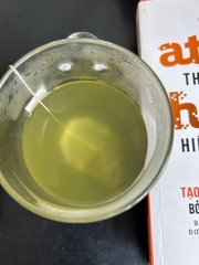 Itoen Trà Xanh Gạo Rang Túi Lọc Matcha Genmaicha Nhật Bản 20 gói/ hộp