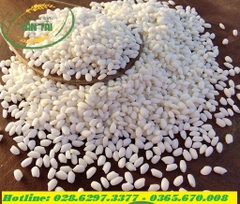 NẾP BẮC HOA VÀNG