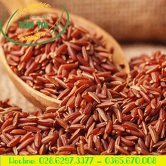 LỨT HUYẾT RỒNG ĐỎ