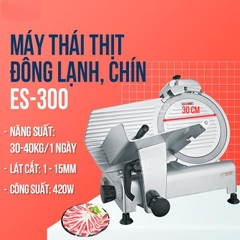 Máy thái thịt chín - đông lạnh ES 300 Shunling