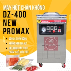 Máy Hút Chân Không DZQ-400 Promax