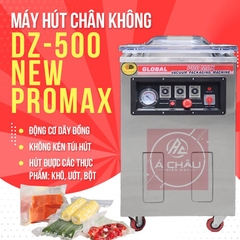 Máy hút chân không DZQ-500 Promax