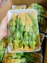 Bí nụ