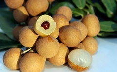 Nhãn thái