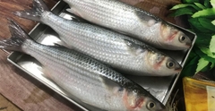 Cá đối làm sạch