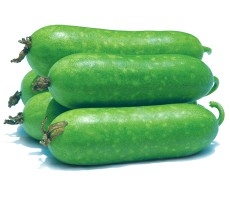 Bí đao