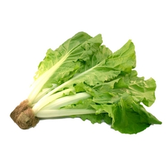 Cải nhúng